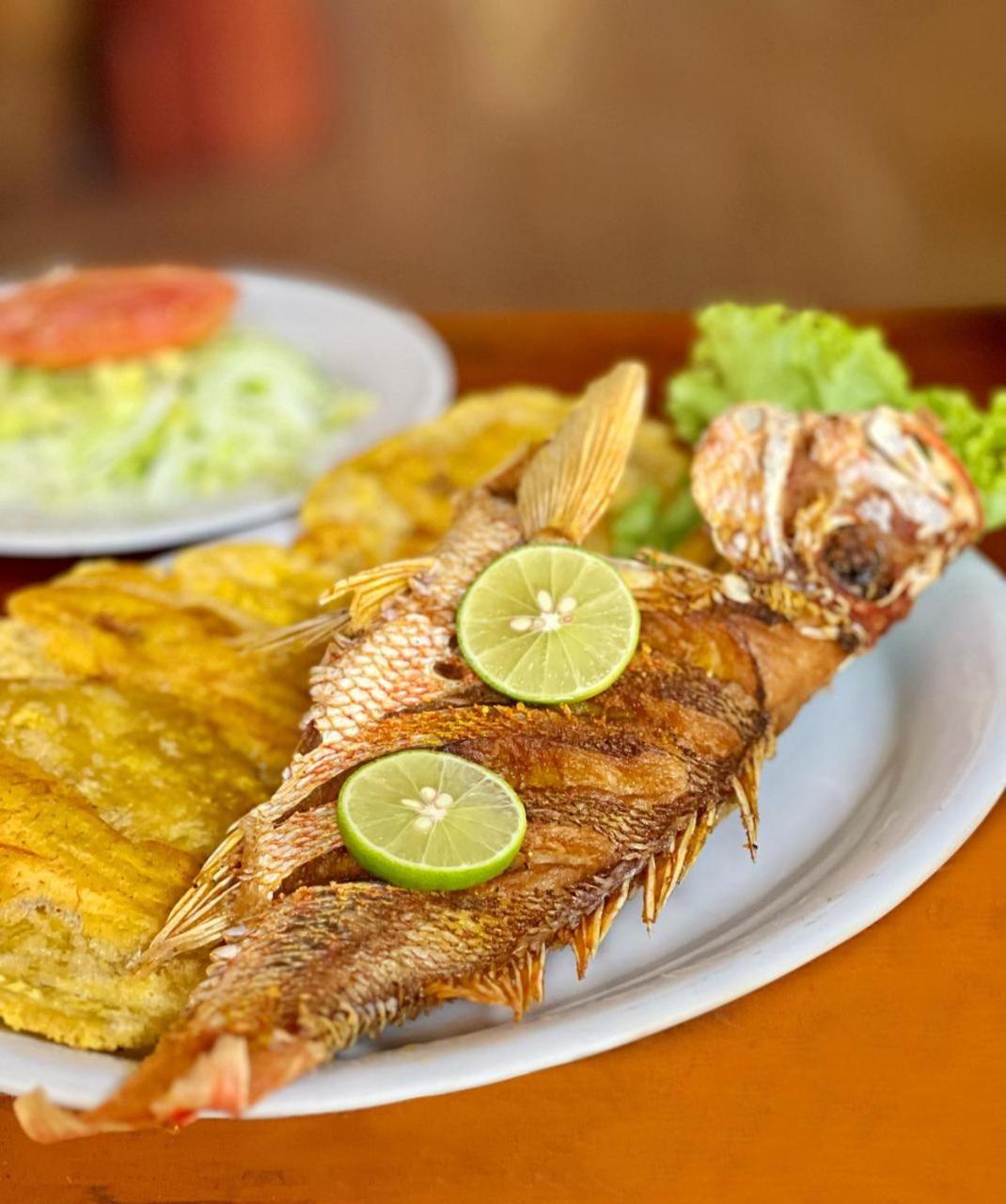 Arca Tayrona Restaurant & Hostal Los Naranjos Zewnętrze zdjęcie